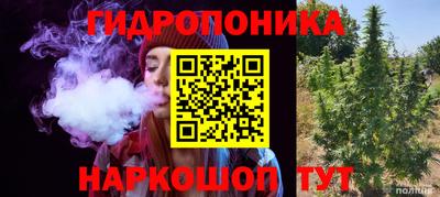 МДМА Кудрово