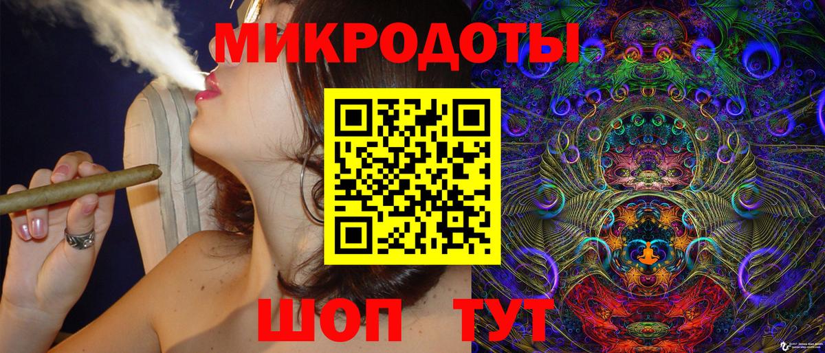 Псилоцибиновые грибы Psilocybine cubensis Курчалой
